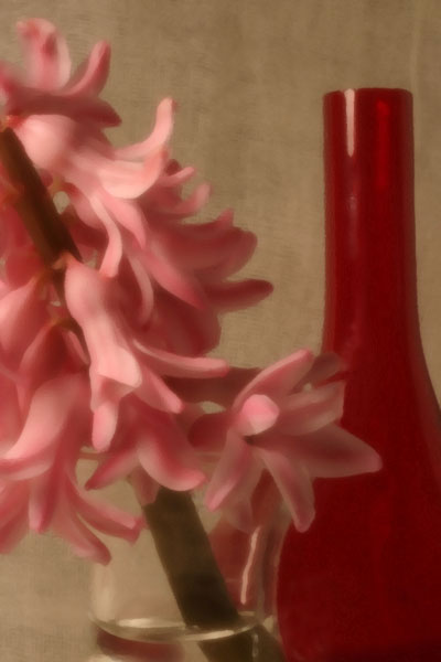 Red Vase #5 - pinhole image
