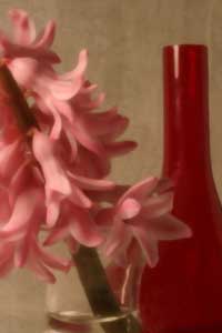 Red Vase #5 - digital pinhole photography