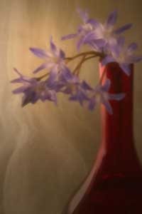 Red Vase #6 - digital pinhole photography